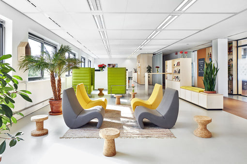 AMEBA Modern Lounge Chair
