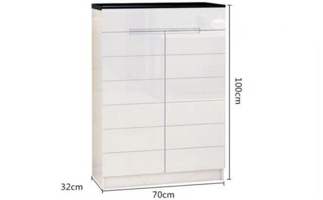 ELEXA Modern Shoe Cabinet