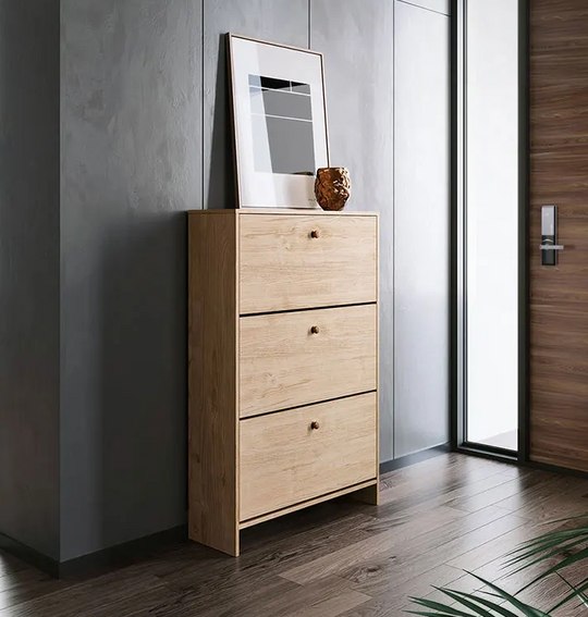 ADAM Scandinavian Ultra Slim Shoe Cabinet