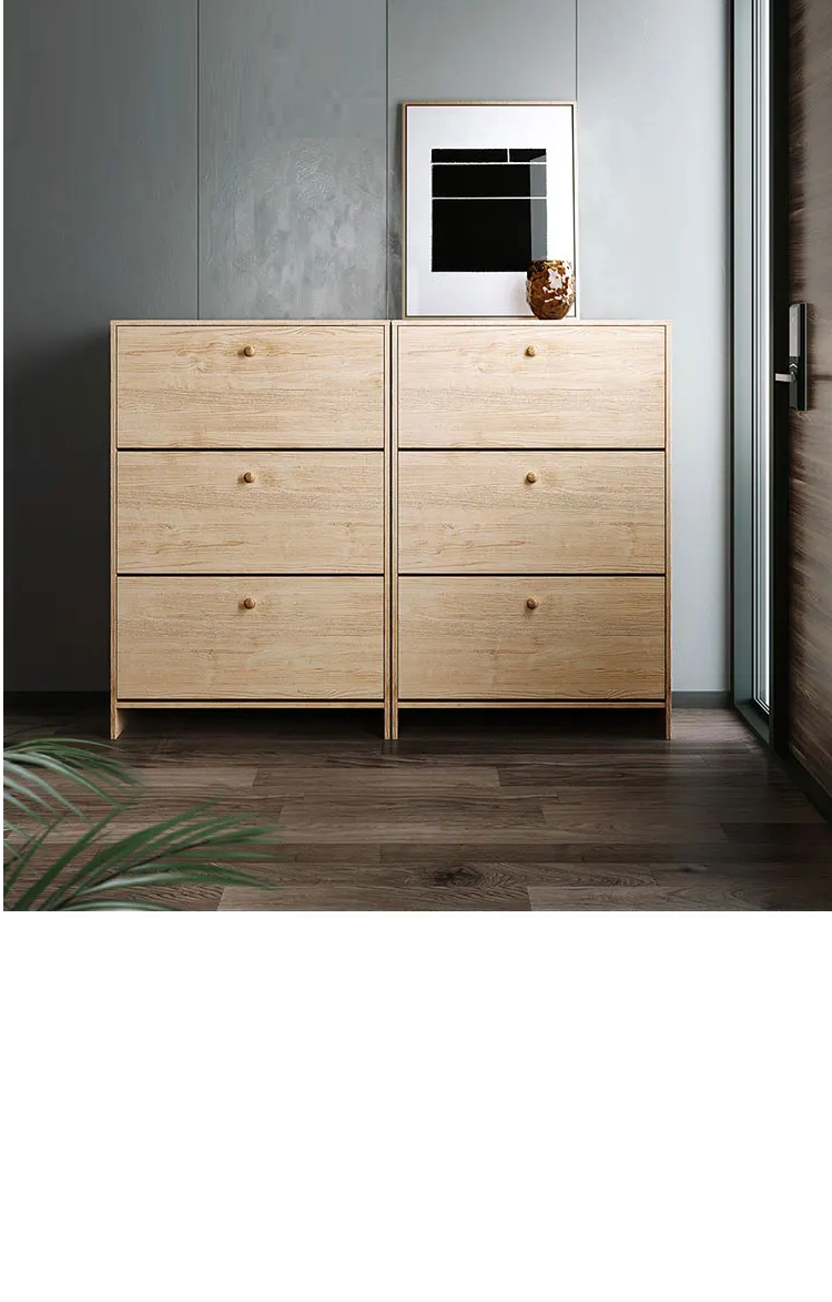 ADAM Scandinavian Ultra Slim Shoe Cabinet