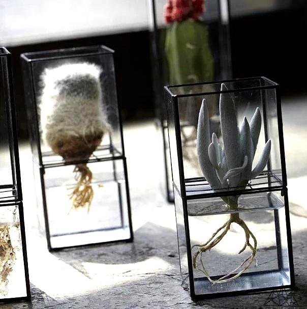 WILHELM Minimalist Acrylic Planter