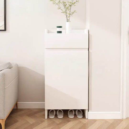 AMBRA Modern Shoe Cabinet