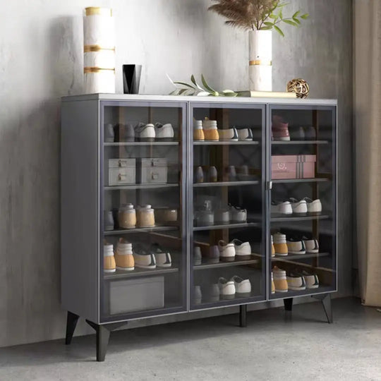 RICHARD Modern Shoe Cabinet