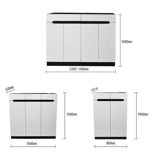 TURE Modern Shoe Cabinet