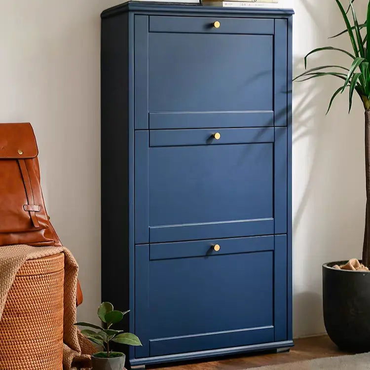 TECHE Classic Slim Shoe Cabinet