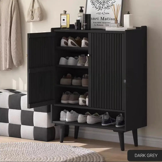 JAVIER Modern Shoe Cabinet