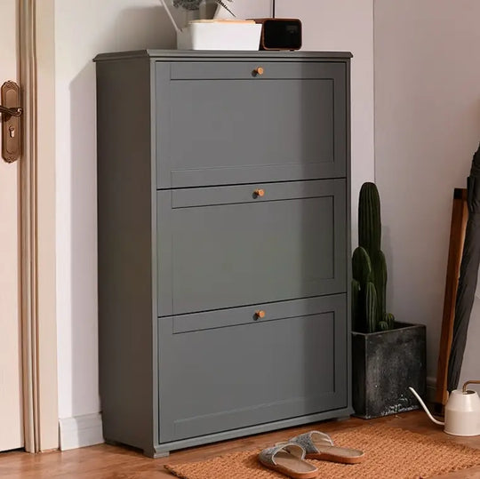TECHE Classic Slim Shoe Cabinet