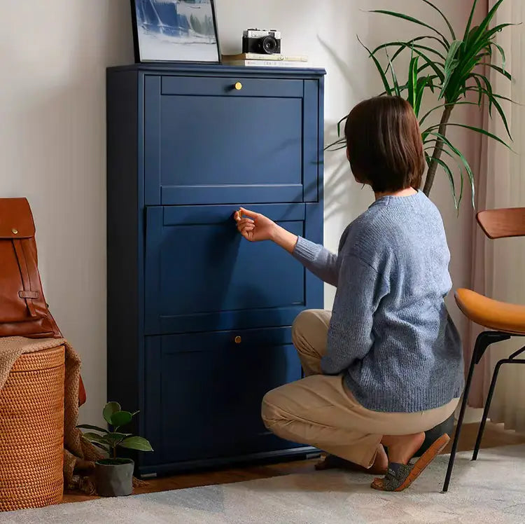 TECHE Classic Slim Shoe Cabinet