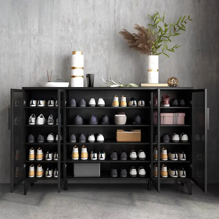 RICHARD Modern Shoe Cabinet