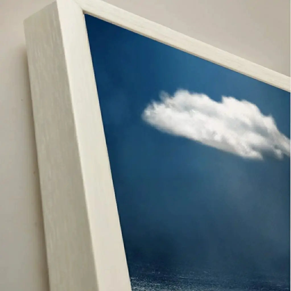 SPARSE Modern Canvas Wall Art